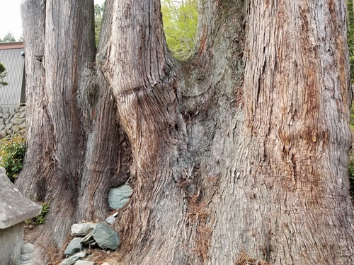 µÈÂô¤ÎÅĹâ¿ù£´