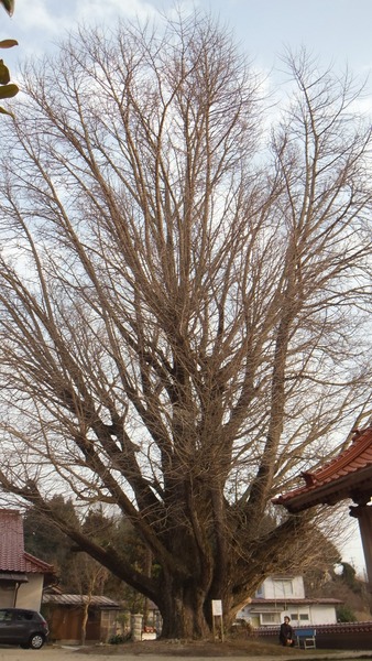 �������ζ�ɡ���