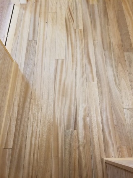 ʼ������̵������ʪ�ե�����󥰣�