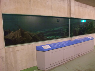 ËäË×ÎÓÇîʪ´Û£±£³