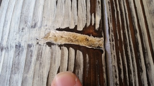 ������ơ������٥̣�