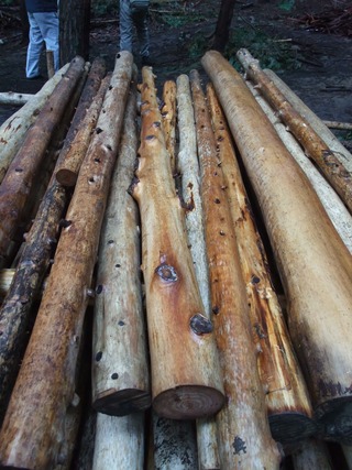 ���ڻ�ɰ����