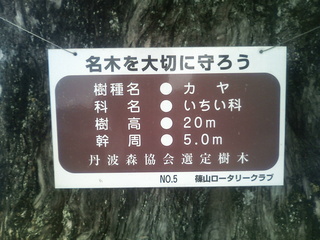 ð�Ȥ��ҡ���