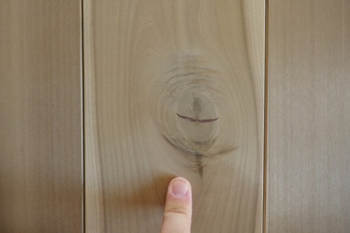 ÆüËܤιÍÕ¼ù ¸¨Ëѡʤ¤Ì¤Û¤ª¡Ë̵¹¤°ìËçʪ¥Õ¥í¡¼¥ê¥ó¥° 15jpg