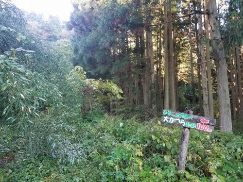 ���Ĥ��礫�Ĥ飱