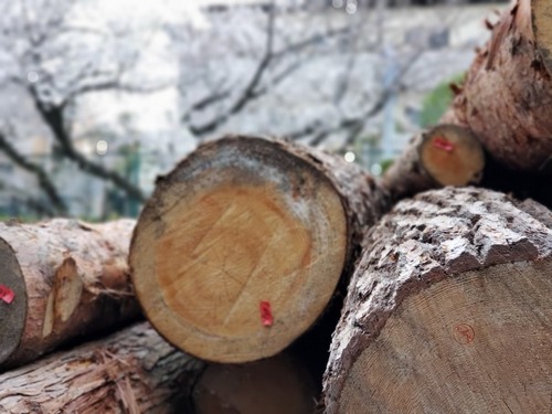 ÈôÂͤδÝÂÀ Èé¤à¤£µ