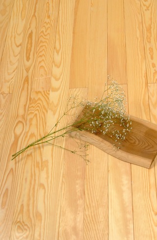 �񻺹����ʤ��ޤġ�ͺ�����˾���̵��