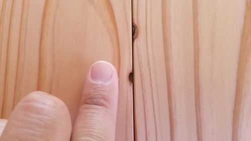 �������ե�����󥰡�2019-8