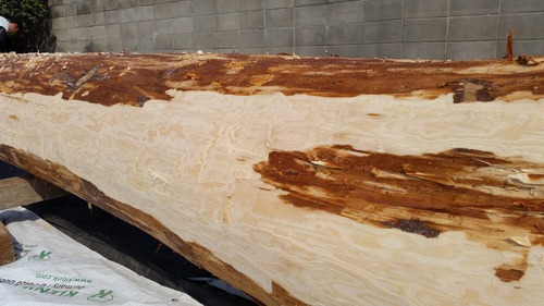 ¤´¤í¤ó¤Ü£·