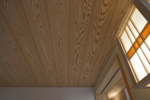 ÅÁÅý¹©Ë¡¤ÎÂ繩¤µ¤ó¤¬·ú¤Æ¤ë¡¢½ª¤ÎÀ³²È£µ