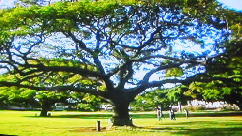 ¥Ï¥ï¥¤¤Ë¤Æ