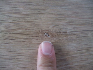 ����������������̵���ե�����󥰡�V�ץ�ߥ����졼�ɣ�