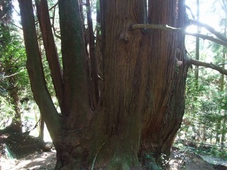 �������ܿ�����