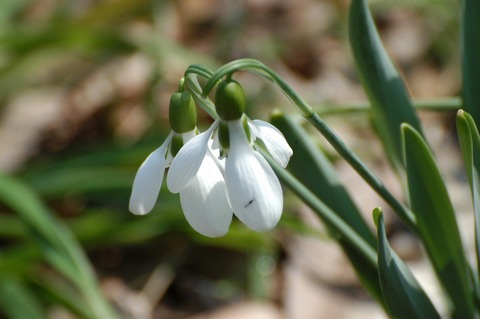 キャンセルを重ねて日永もてあます 俳句の集い 望生の俳句