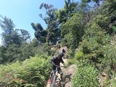お山サイクリング中〜