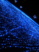 時々流星の様に光が走ります