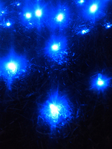 芝生にLEDライトを並べてあって