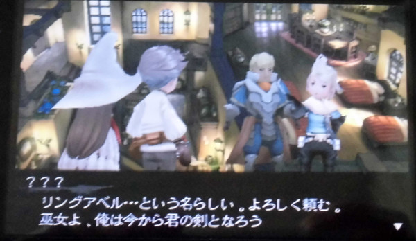 ブレイブリーデフォルト フォーザ シークウェル 無銘の日記 ブレイブリーデフォルト フォーザ シークウェル 無銘の日記
