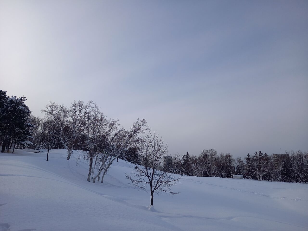 20260127_140806a