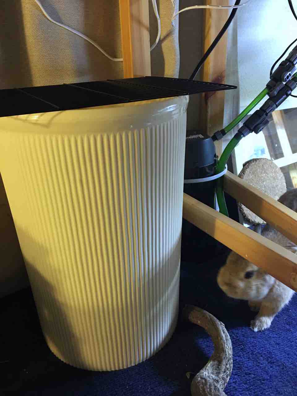 みんなでワイワイ 部屋がなんか変 冬の到来 生き餌の温度管理 かぁちゃんと小動物たち