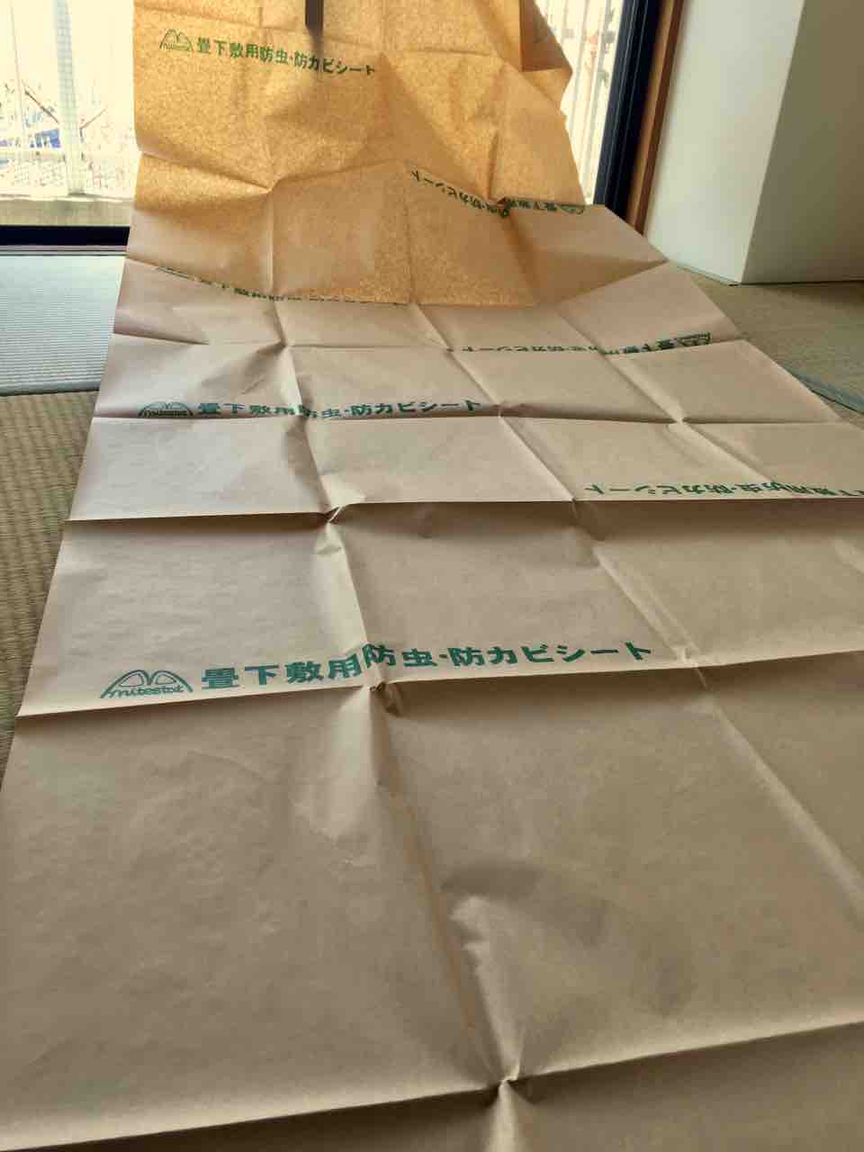 実録 カビ対策 こうひん防虫防ダニ防カビシート敷いてみた カサカサ鳴るけど ちょっと安心ではある かぁちゃんと小動物たち