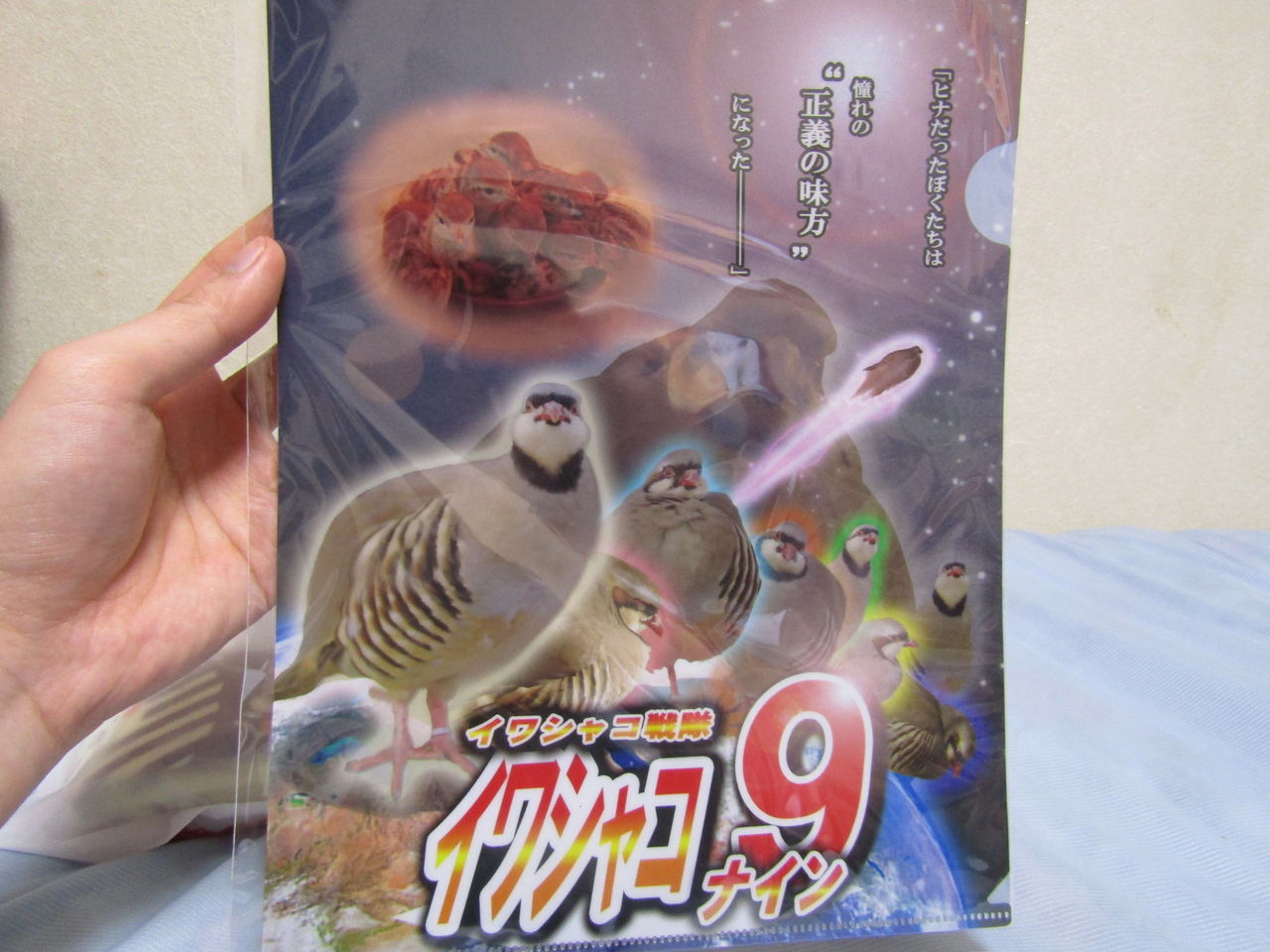 掛川花鳥園の冬のことり万博の戦利品を確認しました ことり最高 むぅむぅはうす日記