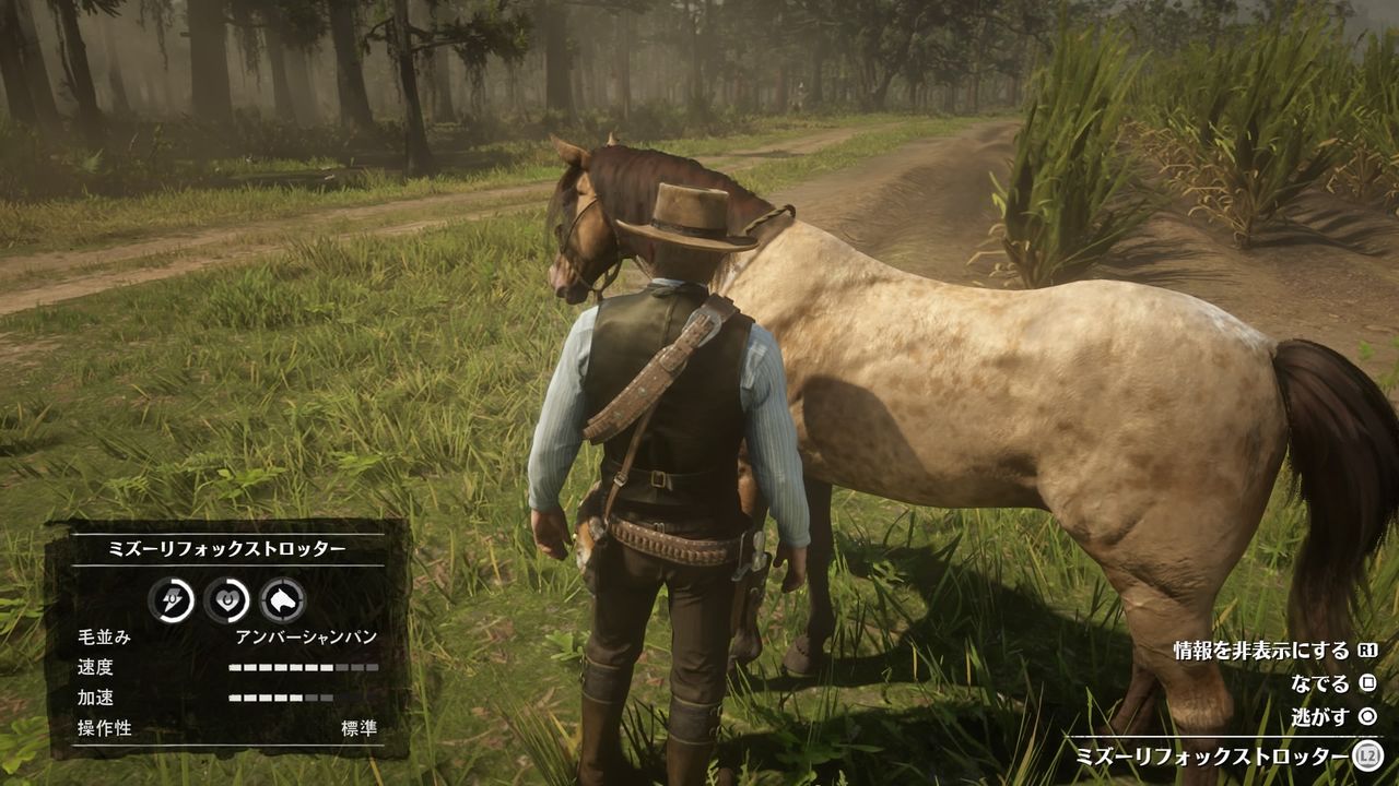 レッド デッド リデンプション2 Ps4 のストーリーが全然進みません D 盗賊チャレンジに挑戦して名誉が下がりまくりました W むぅむぅはうす日記