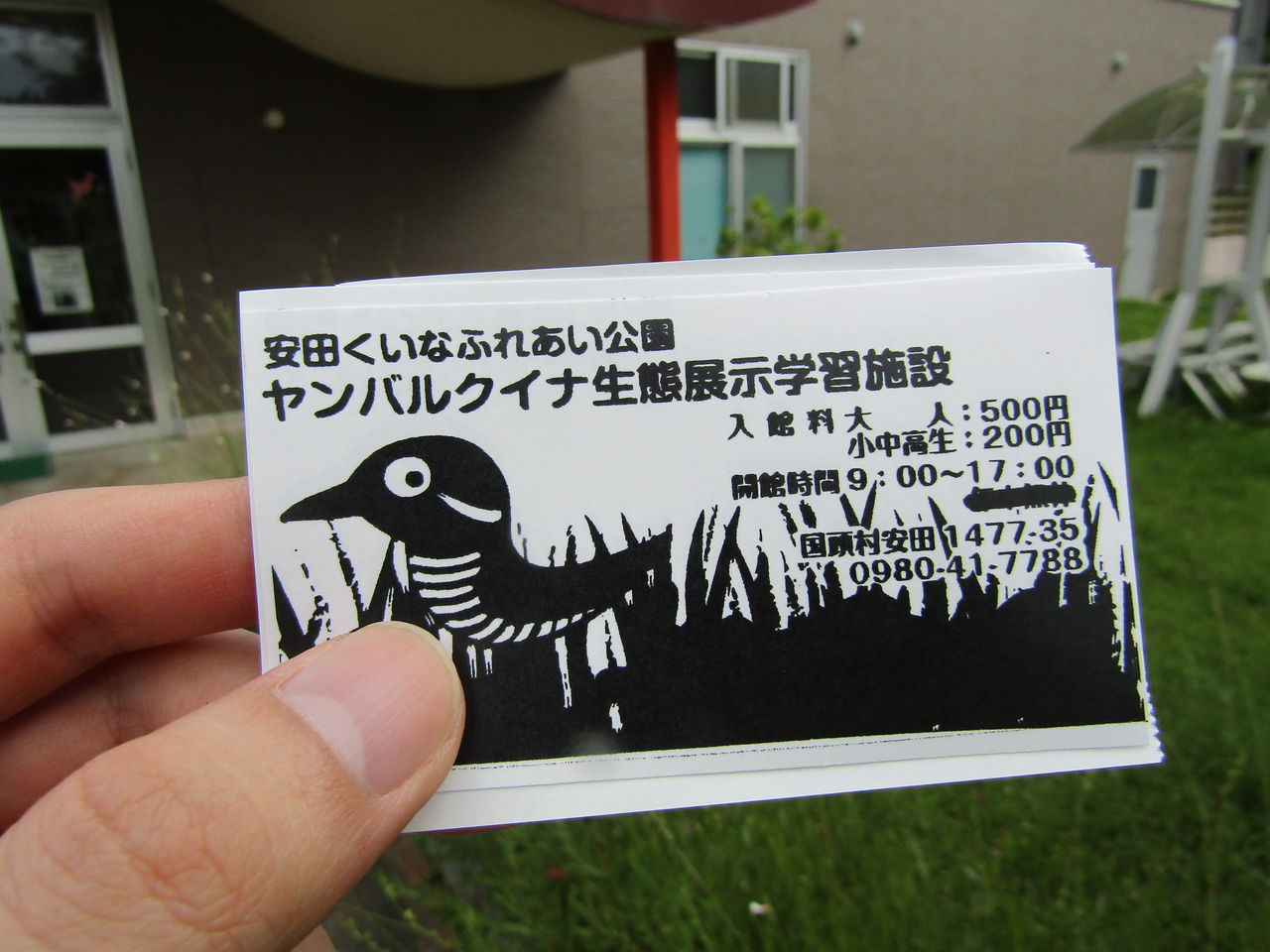 オカメインコすきすき むぅむぅはうす日記 オカメインコすきすき むぅむぅはうす日記