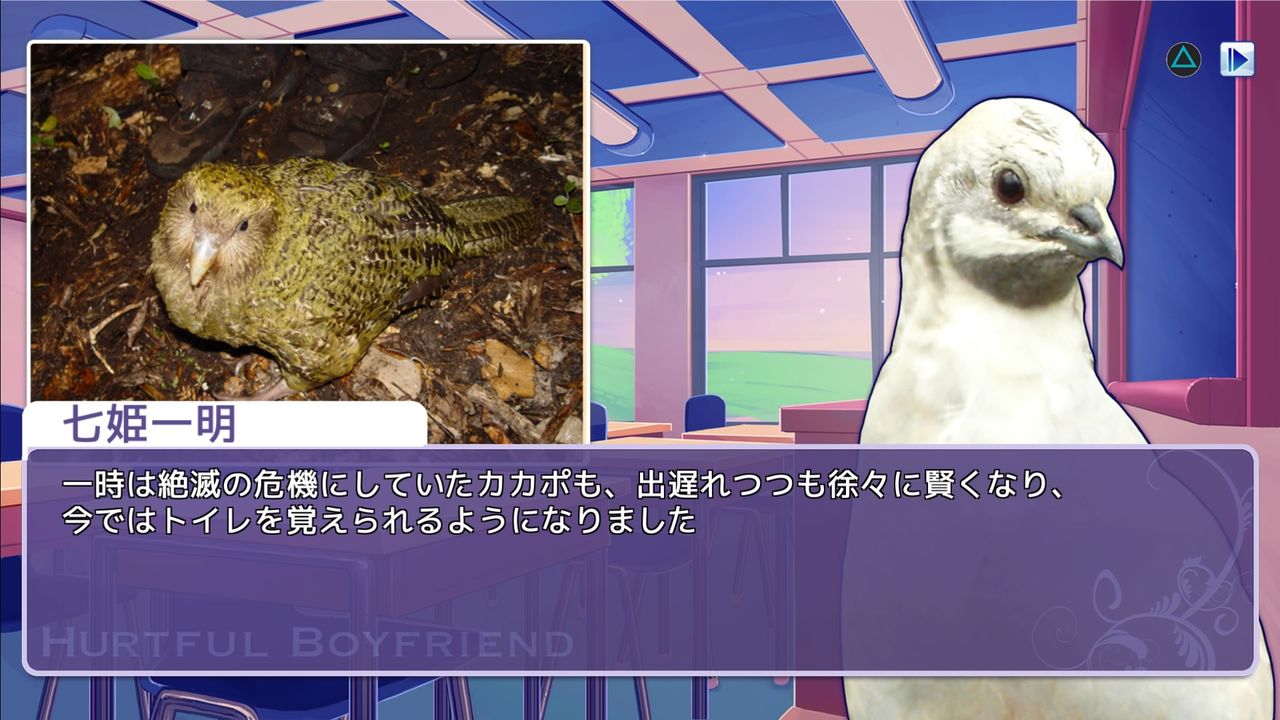 はーとふる彼氏 Ps4 のトロフィーをコンプリートしました ようやく鳥さんと恋愛 と思ったら凄まじいトンデモ展開が待ち受けてました ﾟdﾟ むぅむぅはうす日記