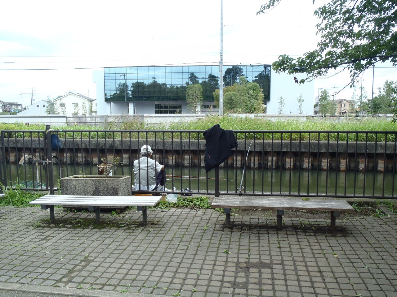 越谷市にある キャンベルタウン野鳥の森 に行ってきました W むぅむぅはうす日記