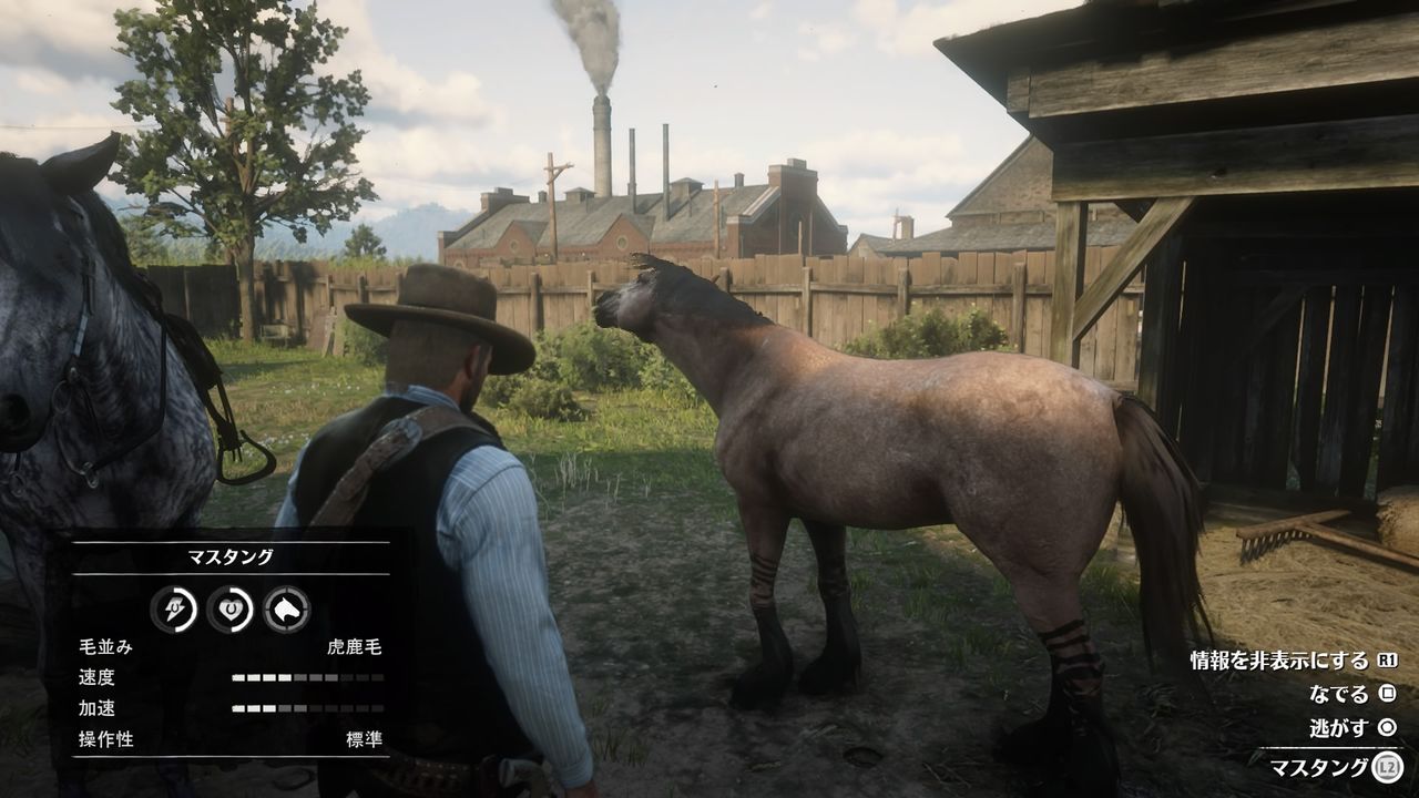 レッド デッド リデンプション2 Ps4 のストーリーが全然進みません D 盗賊チャレンジに挑戦して名誉が下がりまくりました W むぅむぅはうす日記 レッド デッド リデンプション2 Ps4 のストーリーが全然進みません D 盗賊チャレンジに挑戦して名誉が下がりまくりました W むぅむぅはうす日記