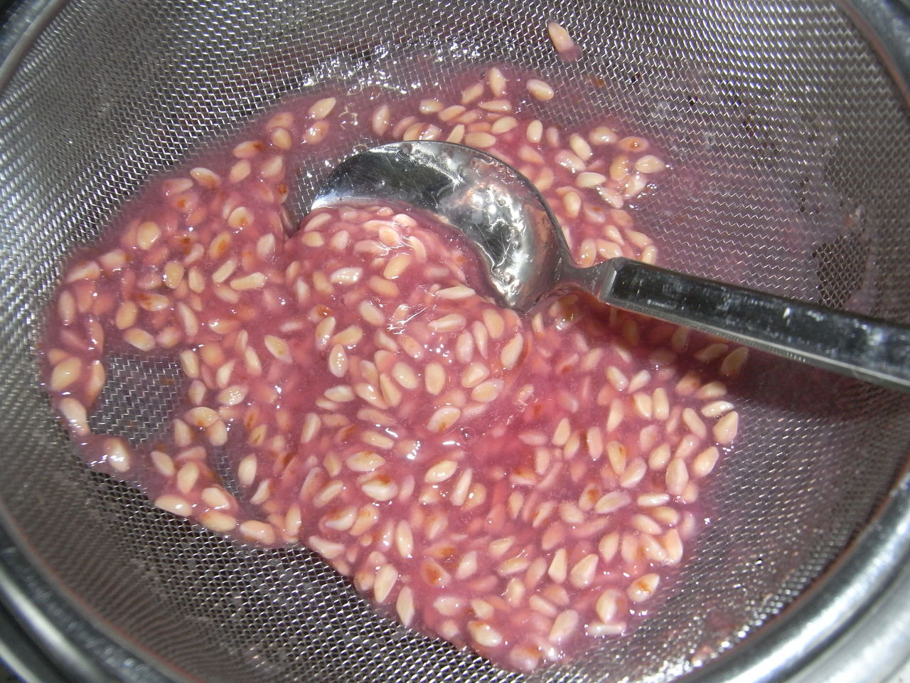 ザクロジャム It S My Turn