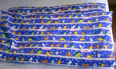 ポケモン ｗ家子供たちの一日