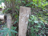 P1040580