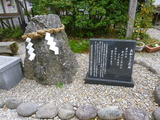 P1010538