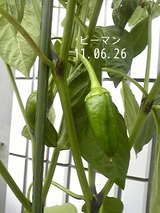 54ee1f92.jpg