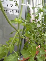 9e029841.jpg