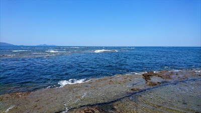 DSC_4555 (2)_R