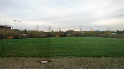 DSC_5267_R