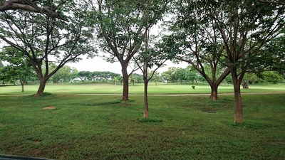 CM170708-114950002_R