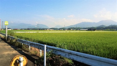 DSC_2870_R