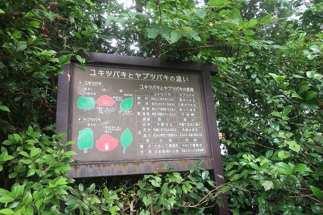 麒麟山温泉 古澤屋 新潟県東蒲原郡 旅館 タオちゃんの温泉入りまくり