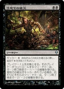 marshcalamities