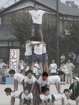 71f2e48f.jpg