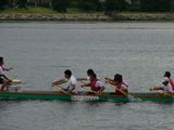 d946b87d.jpg