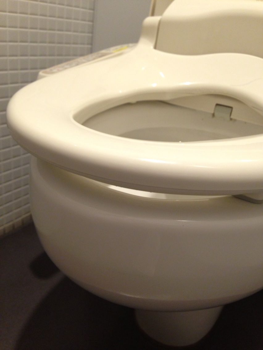 パナソニックのトイレには重大な欠陥がある munushiのblog
