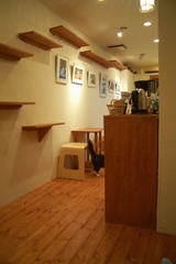 お店は細長いです。左側の棚っぽいのはキャットウォーク