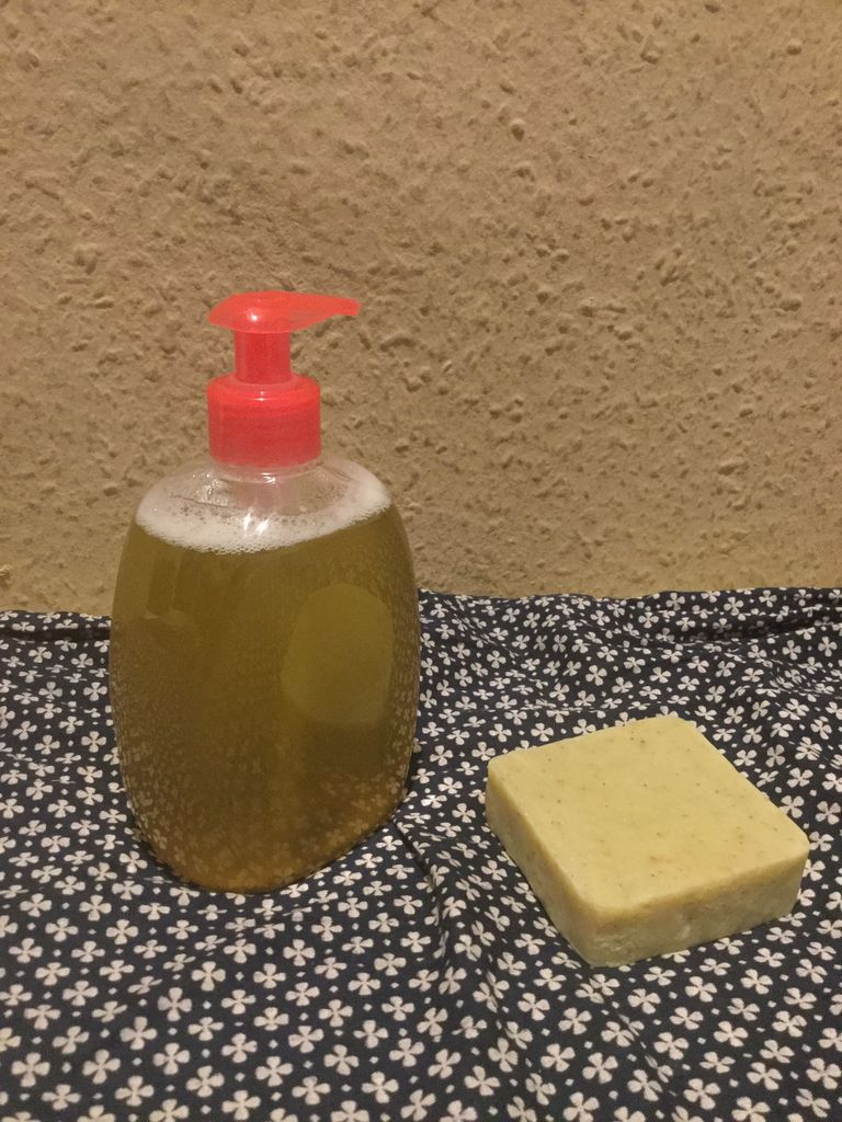 手作り石鹸をリキッドシャンプーにする ムニョガリンドへの道