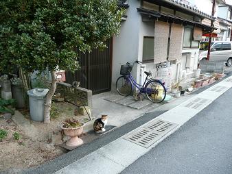 イメージ 8