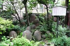 イメージ 4